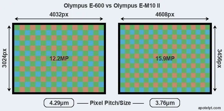 E-600 versus E-M10 II MP