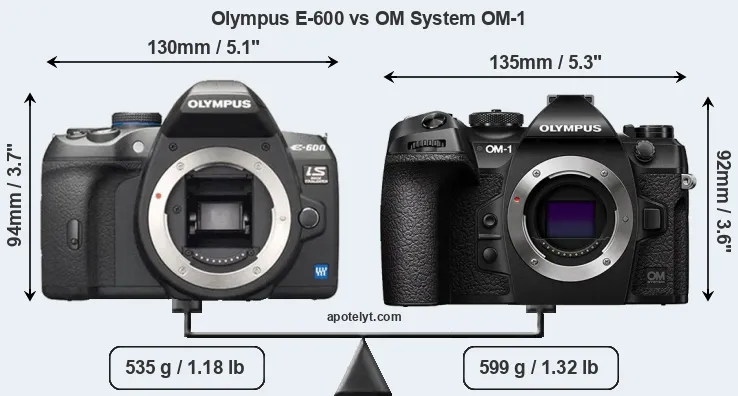 Size Olympus E-600 vs OM System OM-1