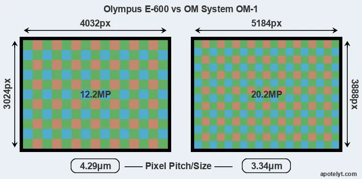 E-600 versus OM-1 MP