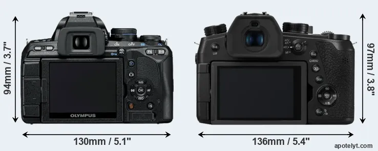 Comparison E-600 or FZ1000 II rear