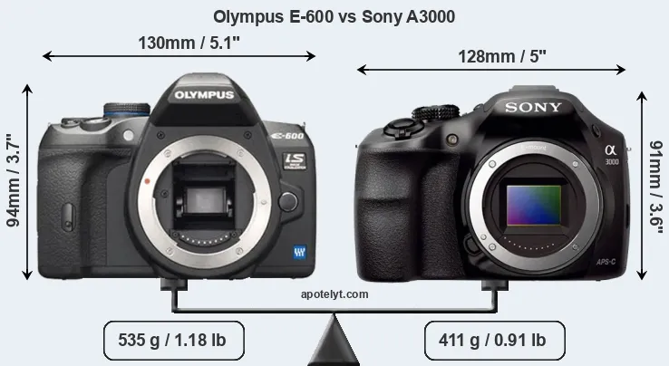 Size Olympus E-600 vs Sony A3000