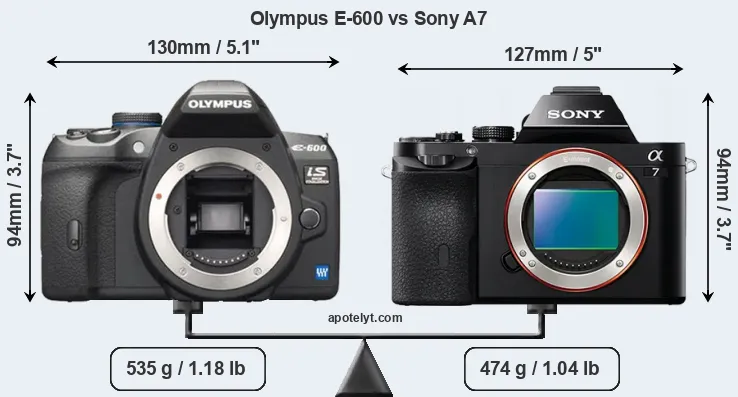 Size Olympus E-600 vs Sony A7
