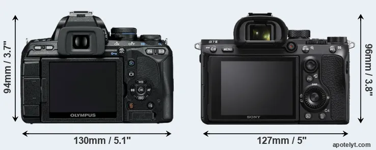Comparison E-600 or A7 III rear