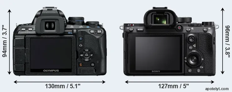 Comparison E-600 or A7R III rear