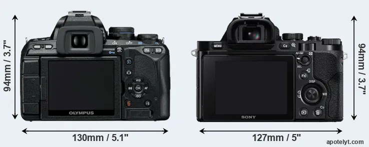 Comparison E-600 or A7R rear