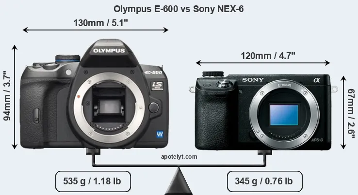 Size Olympus E-600 vs Sony NEX-6