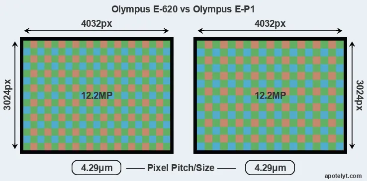 E-620 versus E-P1 MP