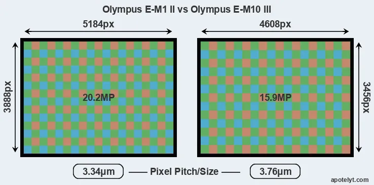 E-M1 II versus E-M10 III MP
