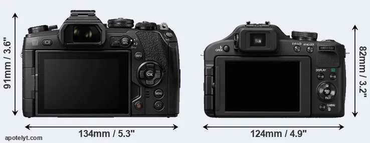 Comparison E-M1 II or FZ150 rear