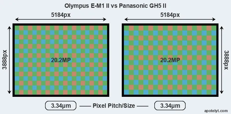 E-M1 II versus GH5 II MP