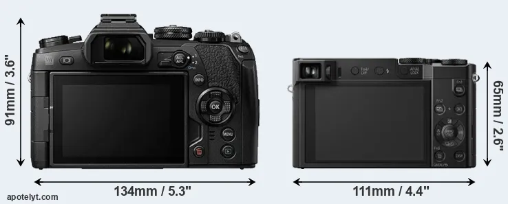 Comparison E-M1 II or TZ100 rear