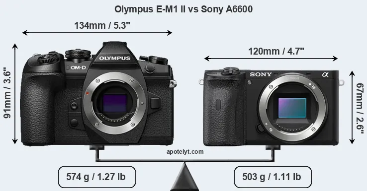 Size Olympus E-M1 II vs Sony A6600