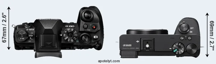 Compare E-M1 II versus A6600 top
