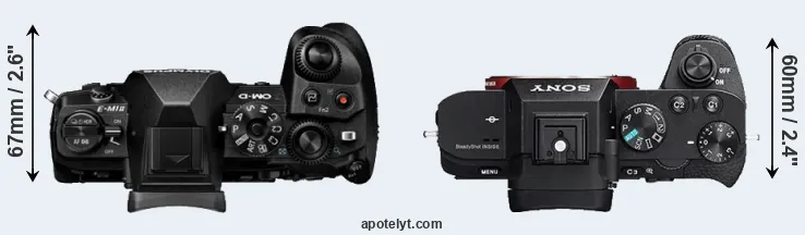 Compare E-M1 II versus A7 II top