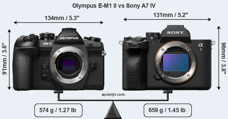 Size Olympus E-M1 II vs Sony A7 IV