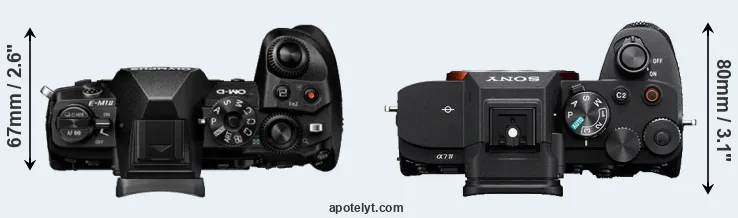 Compare E-M1 II versus A7 IV top