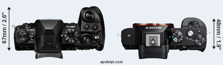Compare E-M1 II versus A7 top