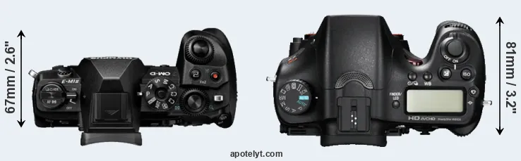 Compare E-M1 II versus A77 top