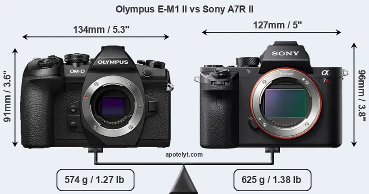 Size Olympus E-M1 II vs Sony A7R II
