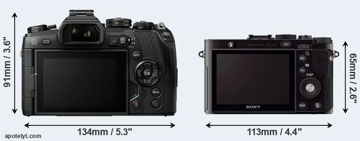 Comparison E-M1 II or RX1 rear