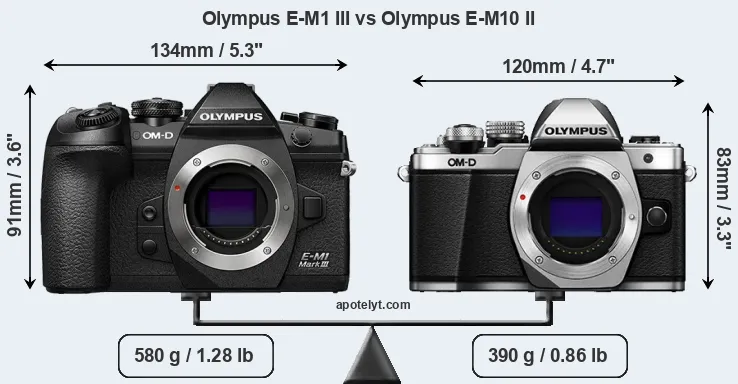 Size Olympus E-M1 III vs Olympus E-M10 II