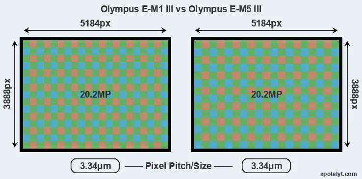 E-M1 III versus E-M5 III MP