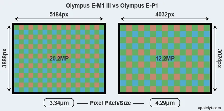 E-M1 III versus E-P1 MP