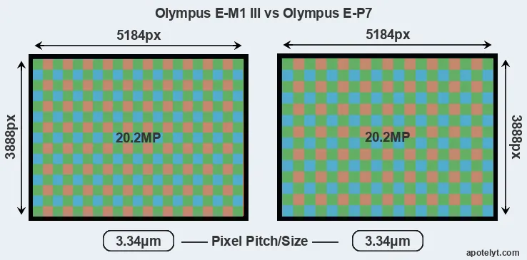 E-M1 III versus E-P7 MP