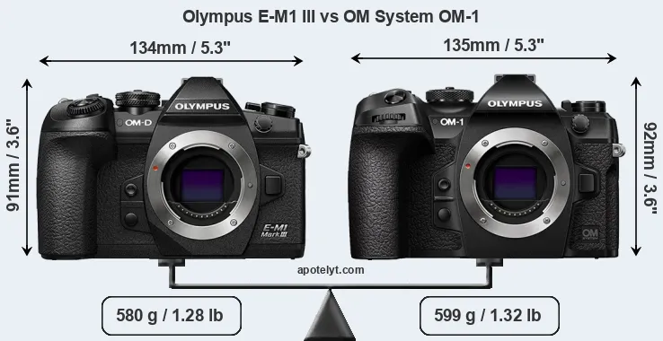Size Olympus E-M1 III vs OM System OM-1