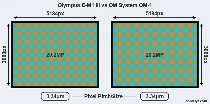 E-M1 III versus OM-1 MP