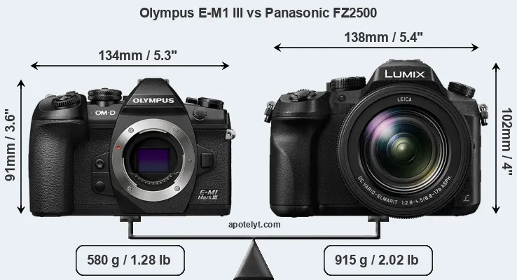 Size Olympus E-M1 III vs Panasonic FZ2500