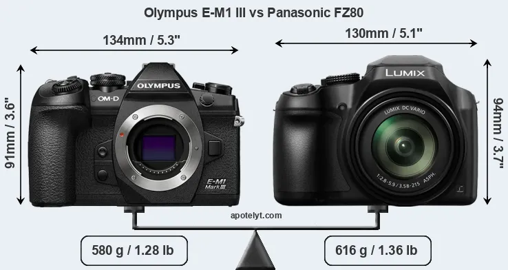 Size Olympus E-M1 III vs Panasonic FZ80