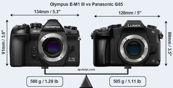 Size Olympus E-M1 III vs Panasonic G85