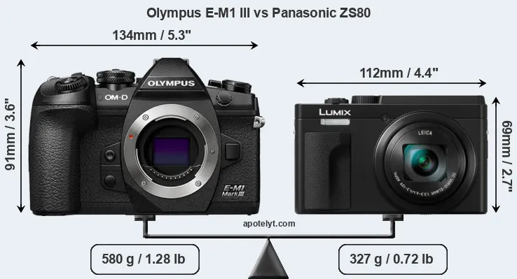 Size Olympus E-M1 III vs Panasonic ZS80