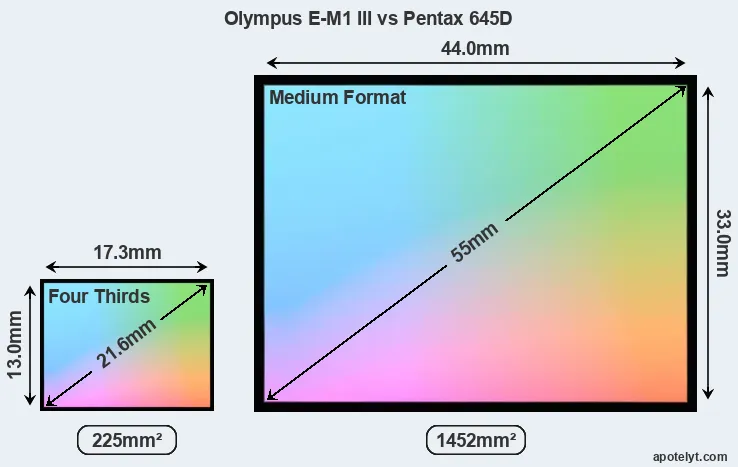 Olympus E-M1 III and Pentax 645D sensor measures