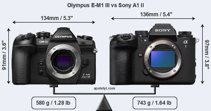 Size Olympus E-M1 III vs Sony A1 II