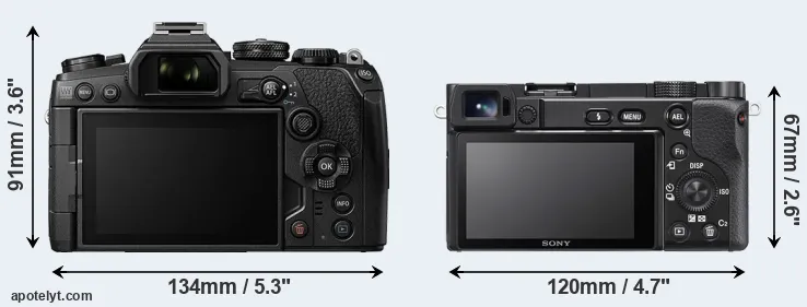 Comparison E-M1 III or A6100 rear