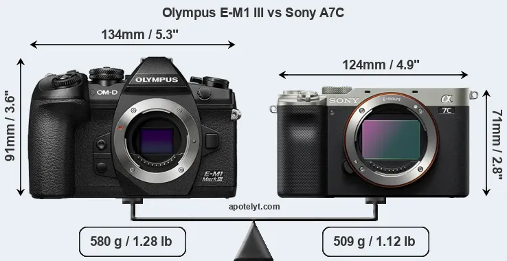 Size Olympus E-M1 III vs Sony A7C