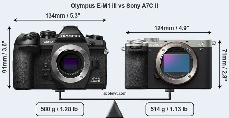 Size Olympus E-M1 III vs Sony A7C II