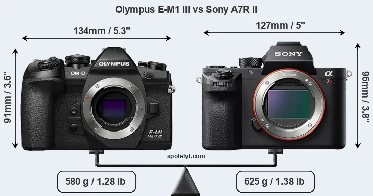 Size Olympus E-M1 III vs Sony A7R II