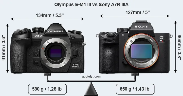 Size Olympus E-M1 III vs Sony A7R IIIA