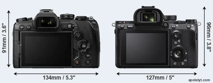 Comparison E-M1 III or A7R IIIA rear