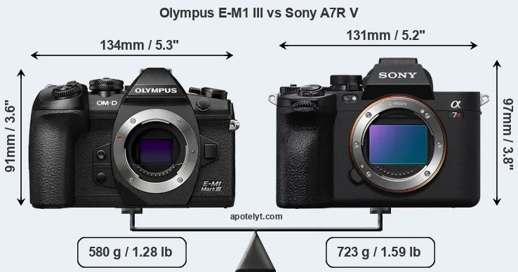 Size Olympus E-M1 III vs Sony A7R V