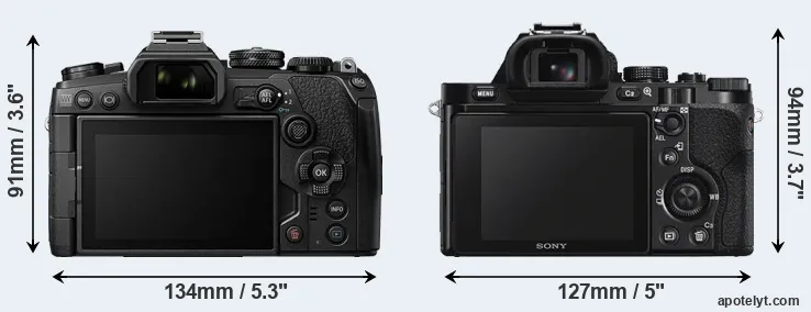 Comparison E-M1 III or A7S rear