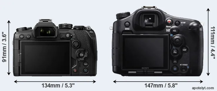 Comparison E-M1 III or A99 rear