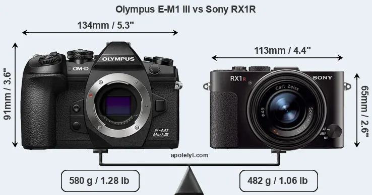 Size Olympus E-M1 III vs Sony RX1R