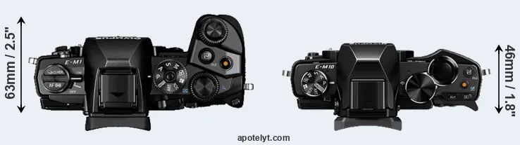 Compare E-M1 versus E-M10 top