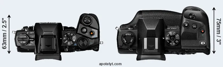 Compare E-M1 versus E-M1X top