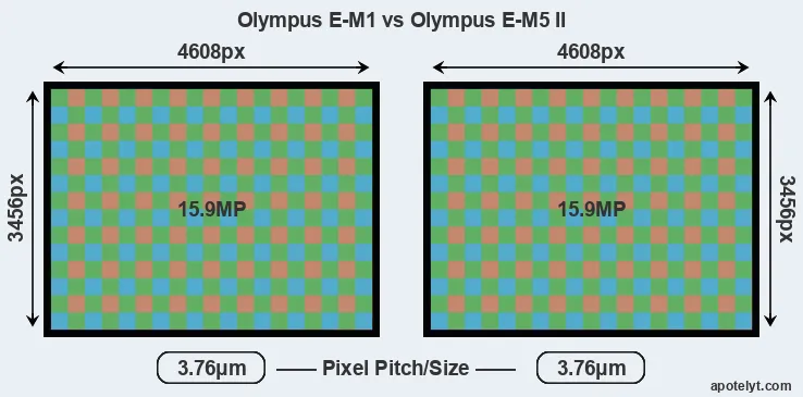 E-M1 versus E-M5 II MP