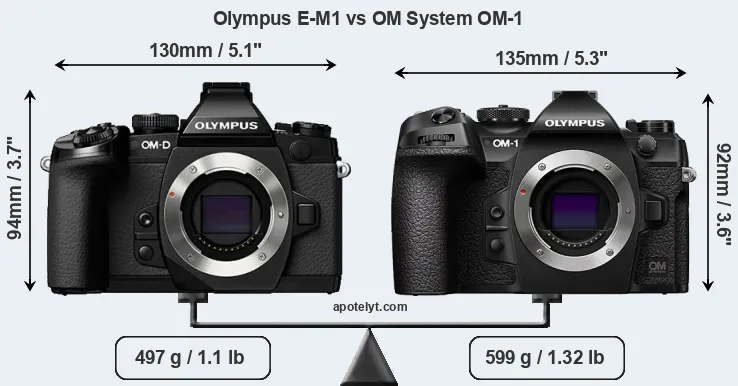 Size Olympus E-M1 vs OM System OM-1